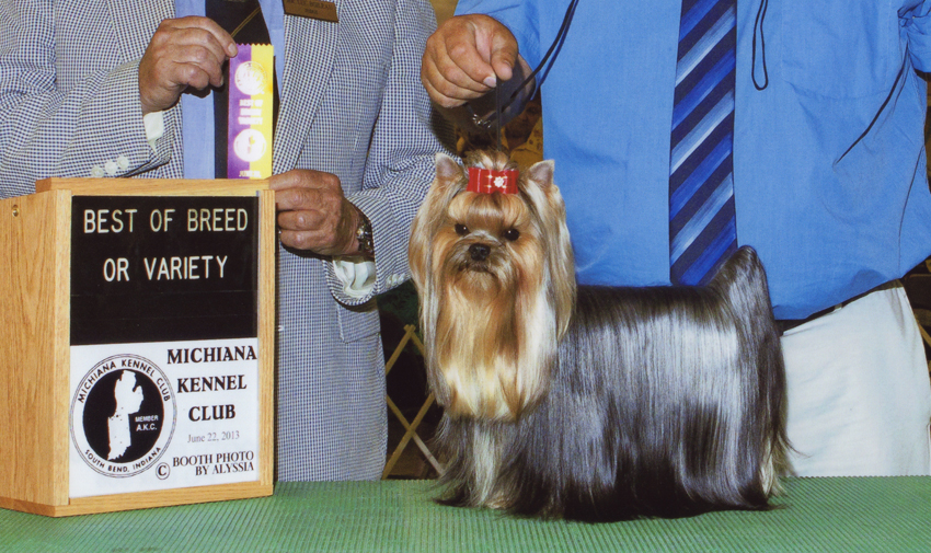 GCH Artistry's Cole Train